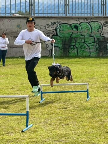 NUEVO CURSO PARA EDUCAR A LOS ‘PELUDITOS’ DE LA CASA SE REALIZARÁ EN IBARRA