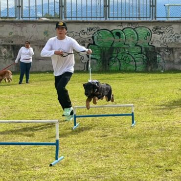 NUEVO CURSO PARA EDUCAR A LOS ‘PELUDITOS’ DE LA CASA SE REALIZARÁ EN IBARRA