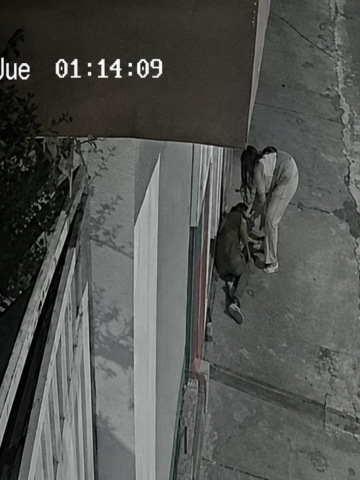 Cámara de seguridad registra a Mateo Andrade sentado en la acera mientras una familiar intenta auxiliarlo tras una agresión en Ibarra.