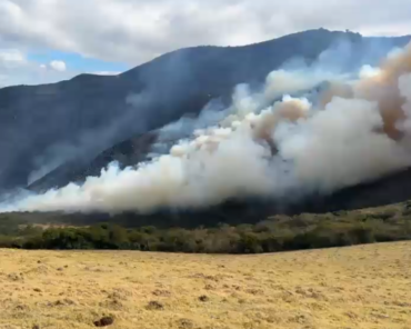 Incendio forestal con una extensa columna de humo en el sector Cuambo-La Carolina, en Ibarra.