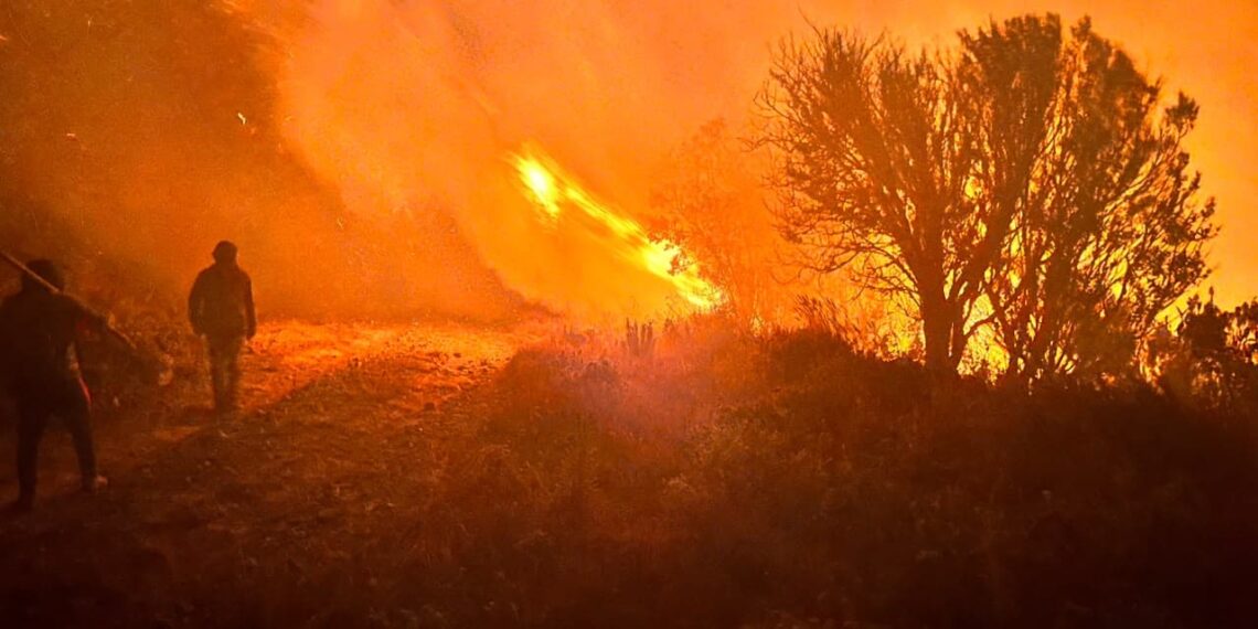 INCENDIO EN EL PARQUE NACIONAL COTACACHI CAYAPAS ARRASA 300 HECTÁREAS Y PONE EN RIESGO ANTENAS DE COMUNICACIÓN