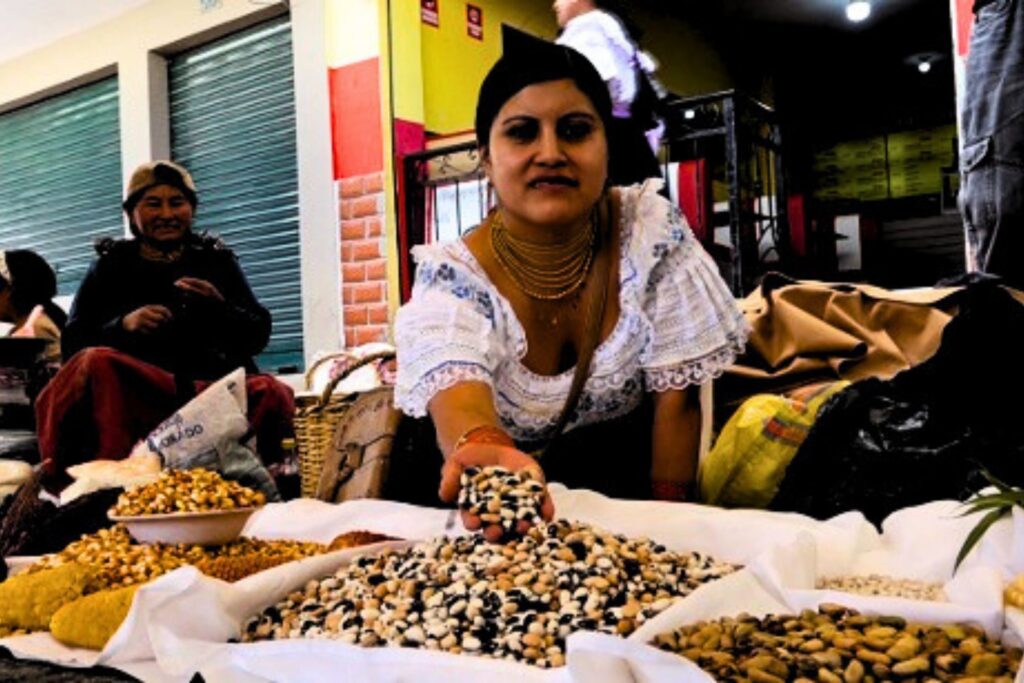 Mujer kichwa exhibe variedades de semillas nativas durante el Muyu Raymi de Cotacachi