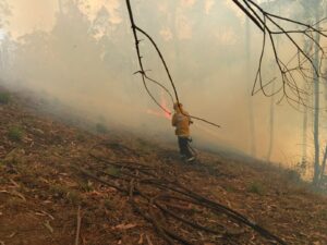 Bombero de Ibarra combate un incendio forestal entre humo y vegetación en el cantón Ibarra